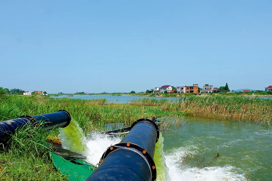  安徽芜湖鹤毛镇的圩埂上，十几台抽水机开足马力，正在将蓄积的洪水排出。