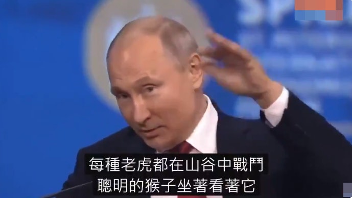 视频截图