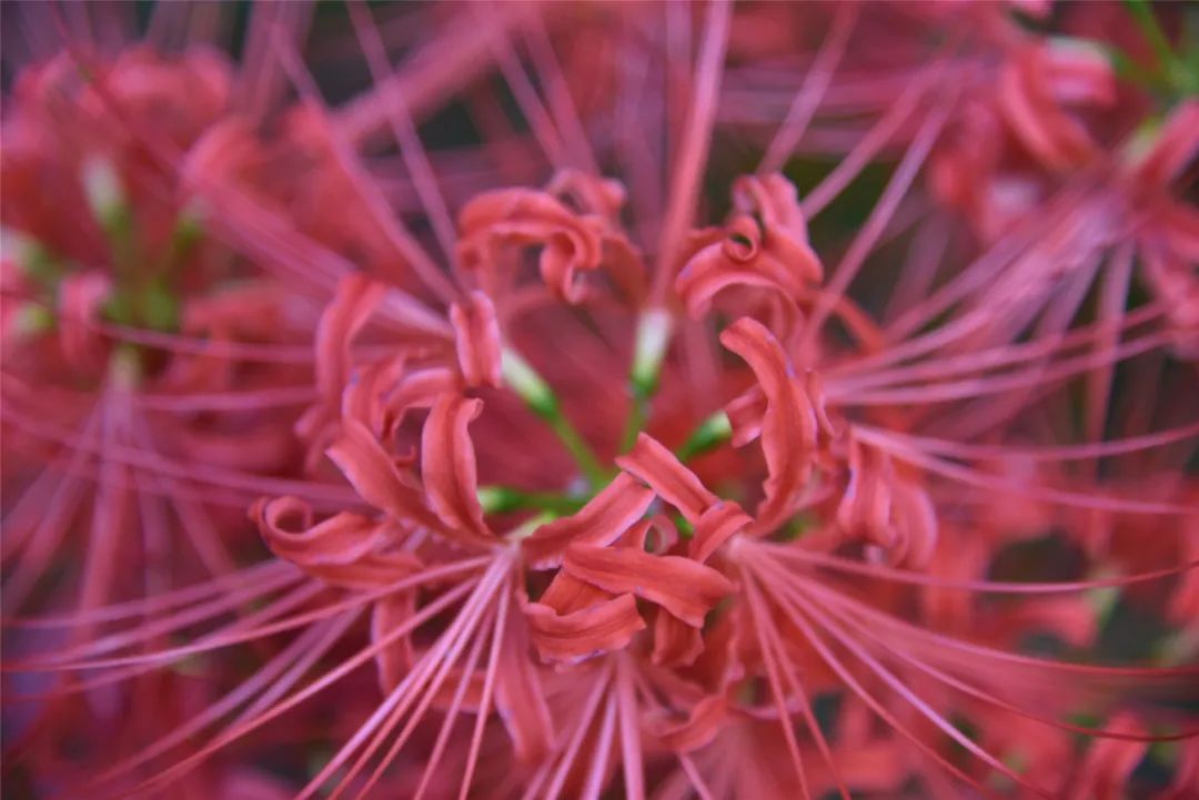 3a27-izrvxmh4232832.jpg