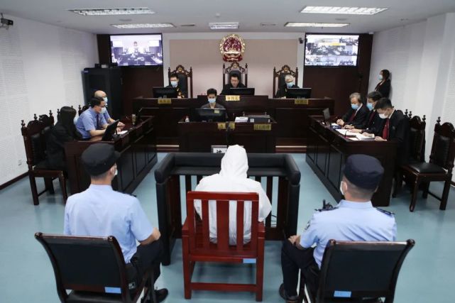 死刑！重庆王平组织、领导黑社会性质组织案一