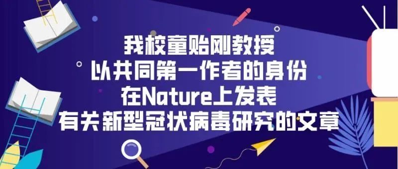 向榜样致敬!北化这个团队和教授在北京市抗击新冠肺炎疫情表彰大会上受到表彰!