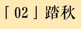 珠儿妹妹,铎兄给你带的月饼,叫“想见你”