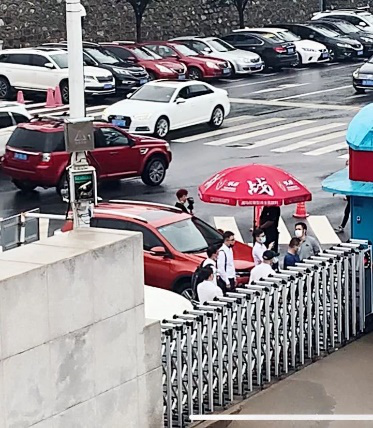 图片来源:大连圣亚海洋世界公众号