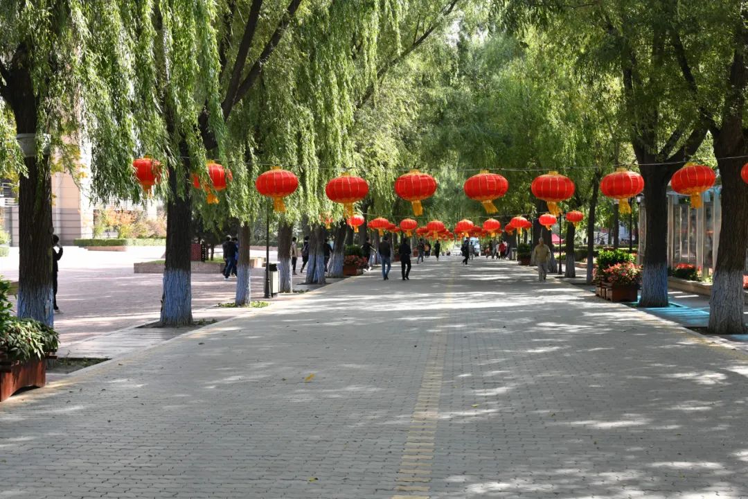 “十一”假期该咋过?这份攻略请收好