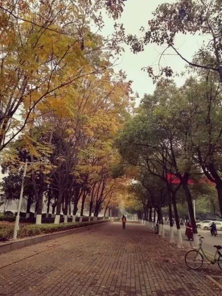 咦?听说湖工大校园景观“碰瓷”这些名画