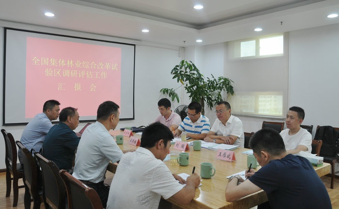 国家林草局经研中心一行到龙泉调研评估集体林业综合改革试验区工作