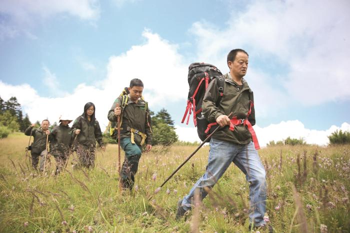 神农顶管护中心的巡护队员在高山草甸上穿越(郭裕铭摄)
