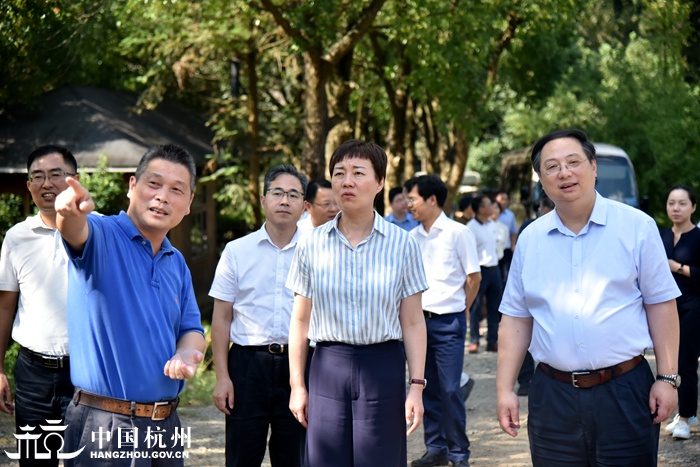 调研现场(二)   9月3日,市委副书记佟桂莉赴临安区和余杭区调研乡村