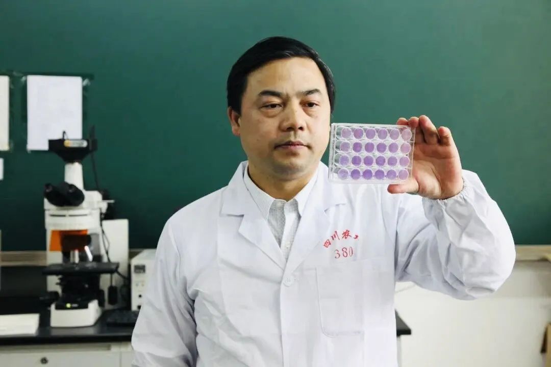 首届十大优秀教师标兵出炉!