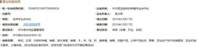 沃福百瑞IPO:隐瞒向员工采购和销售情况,或篡改子公司财务数据