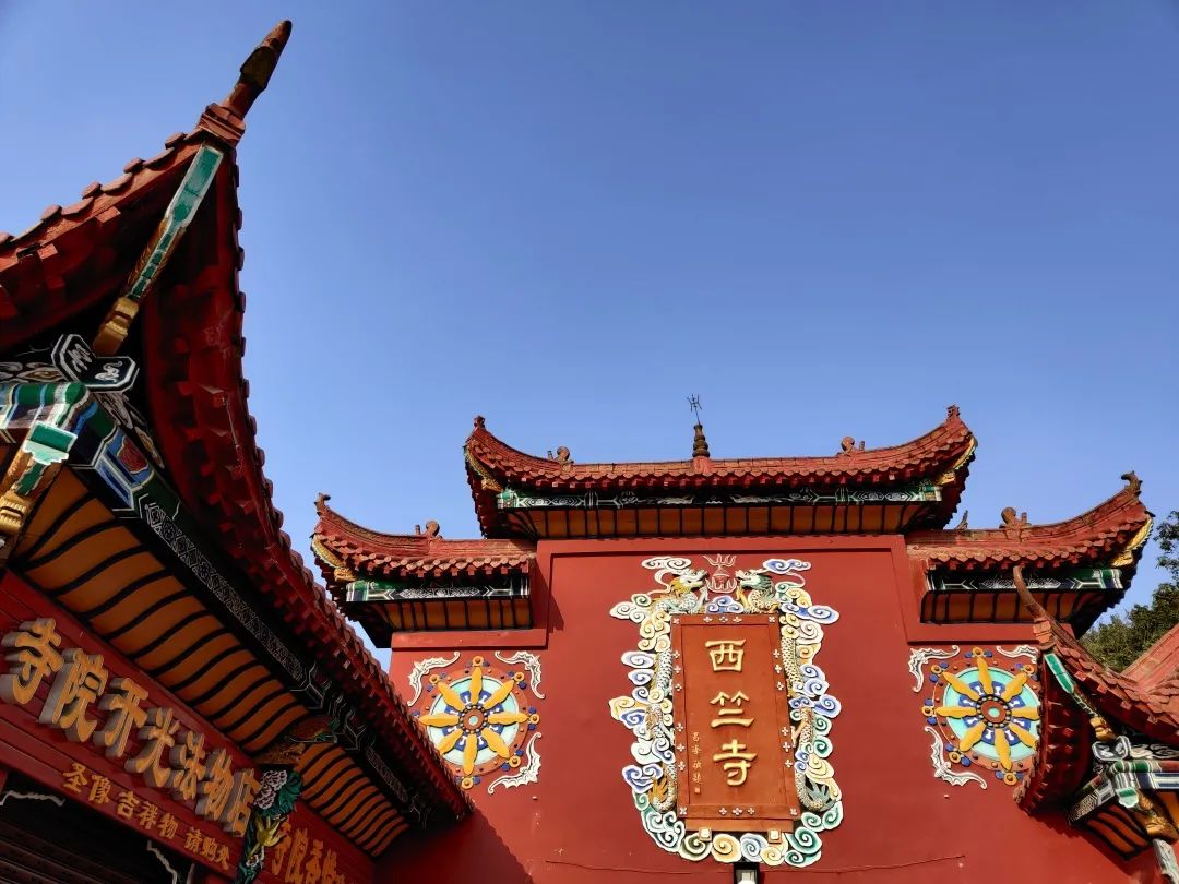 四川人口中的地母是什么_四川人口中的万年青