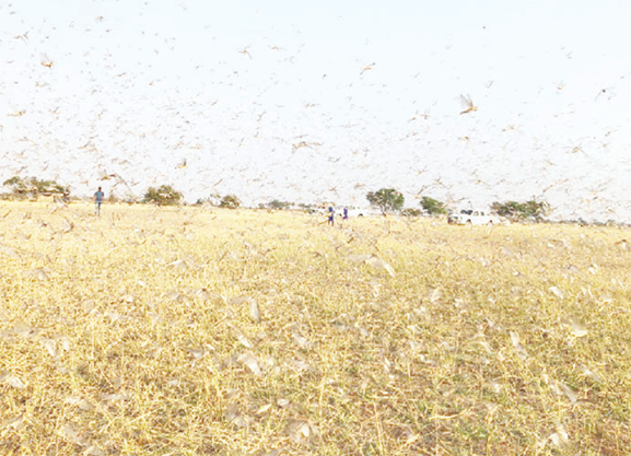 ��ͼƬ��Դ������