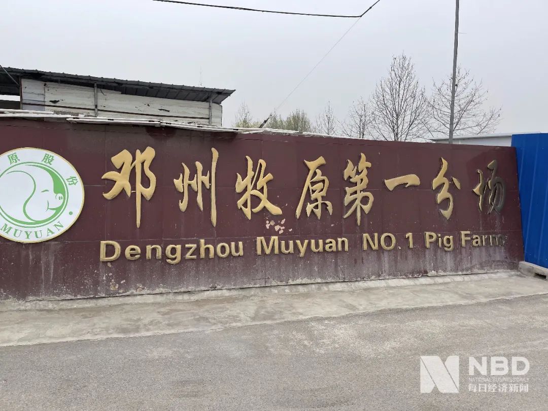 邓州牧原第一分场.图片来源:每经记者 胥帅 摄