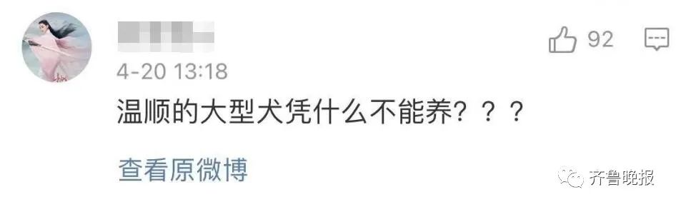济南拟新规:每户只能养一只小型犬