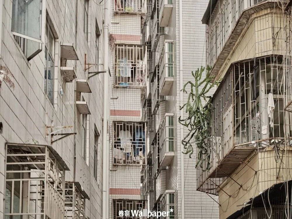 距今已有二十多年,其中一大半的时间都生活在白石洲,得益于在2007年买