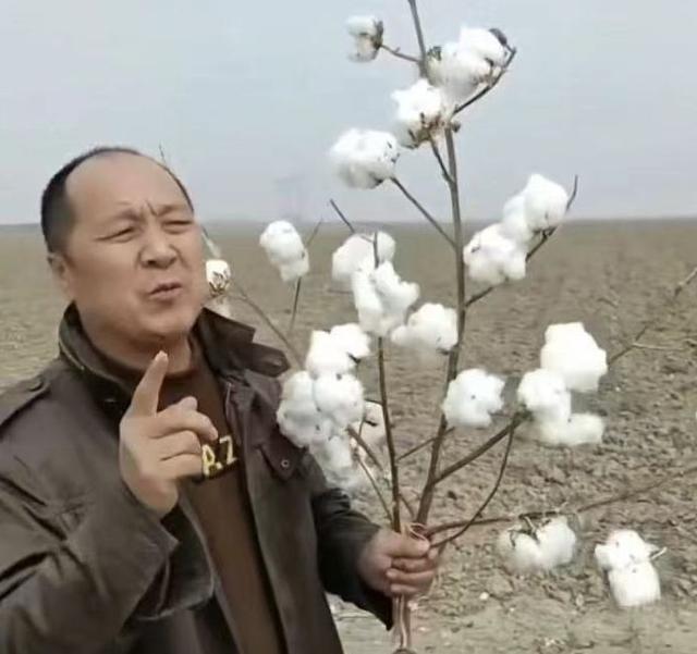 张宏远直播介绍自家的新疆棉花。图片来源:视频截图
