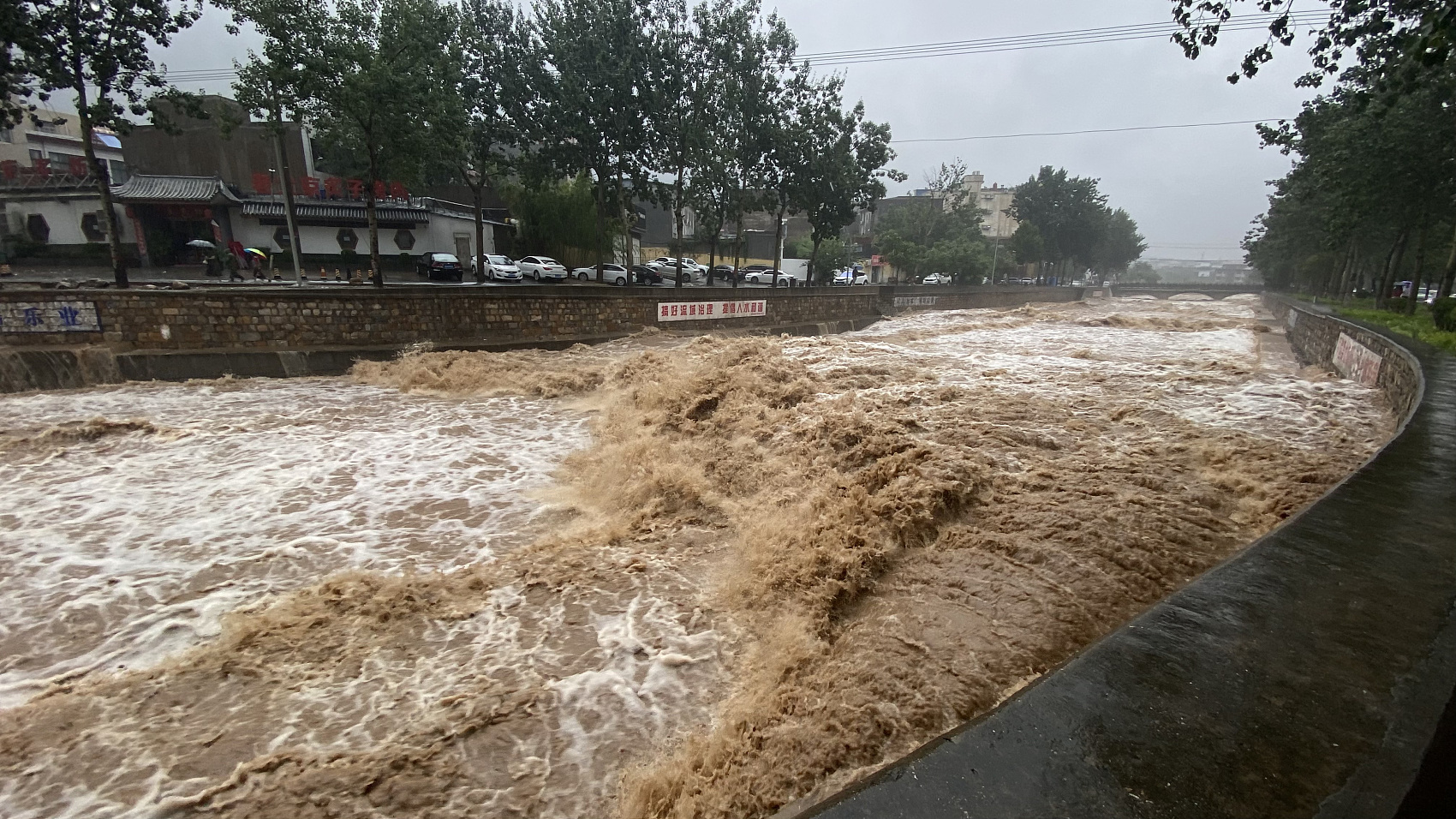 停水停电缺饲料河南特大暴雨致部分养猪场受损当地养殖户正在自救