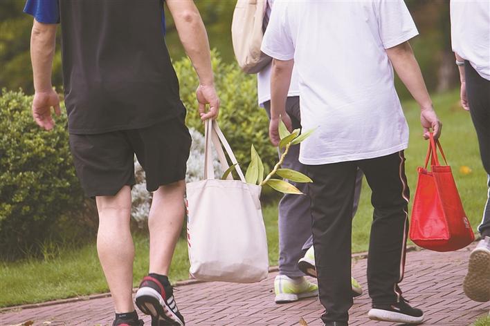盗采粗叶榕的市民得手后径直离开现场。