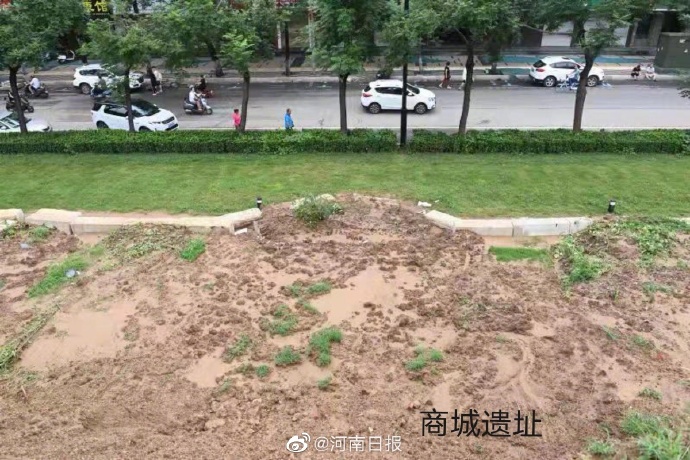 @河南日报图