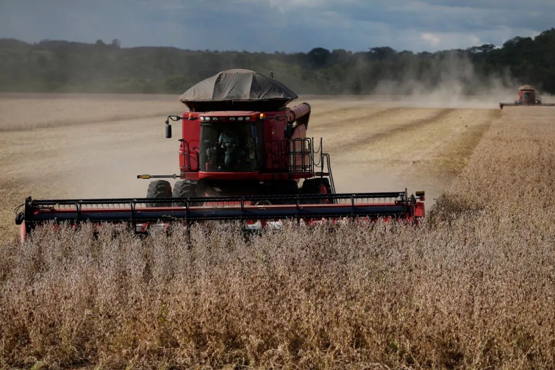 全球连线 | 这半年，中国和这个地区的经贸合作有多亮眼？(图1)