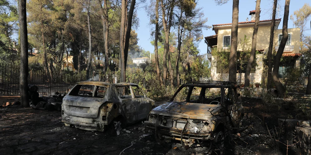 雅典北郊山林大火起因是烟熏蜂箱 嫌疑人已经被捕