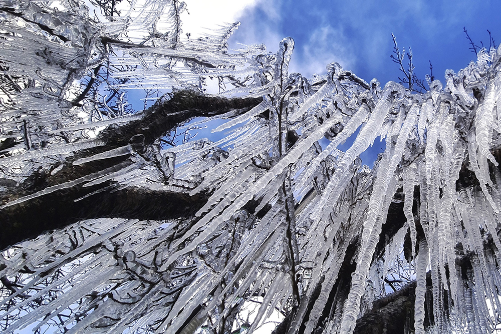 巴西遭寒潮袭击，南部多地出现罕见降雪