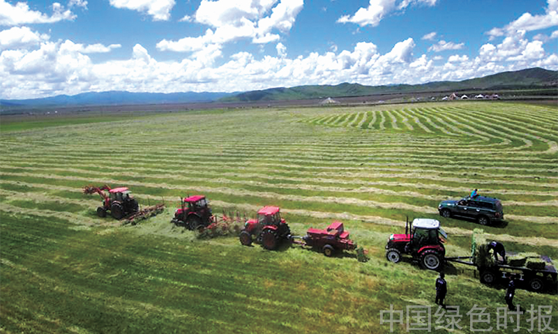 ������1��2�š���â�����ӷ������أ���ͼƬ���Ĵ�ʡ��ҵ�Ͳ�ԭ�ֲ�ԭ���ṩ