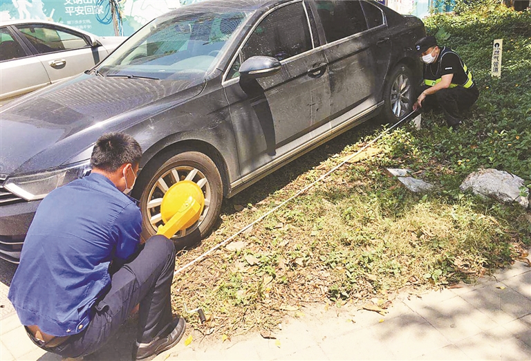 西丽街道综合行政执法办执法员对违规停放在高新北一道公共绿地的车辆进行现场勘验。 受访单位供图