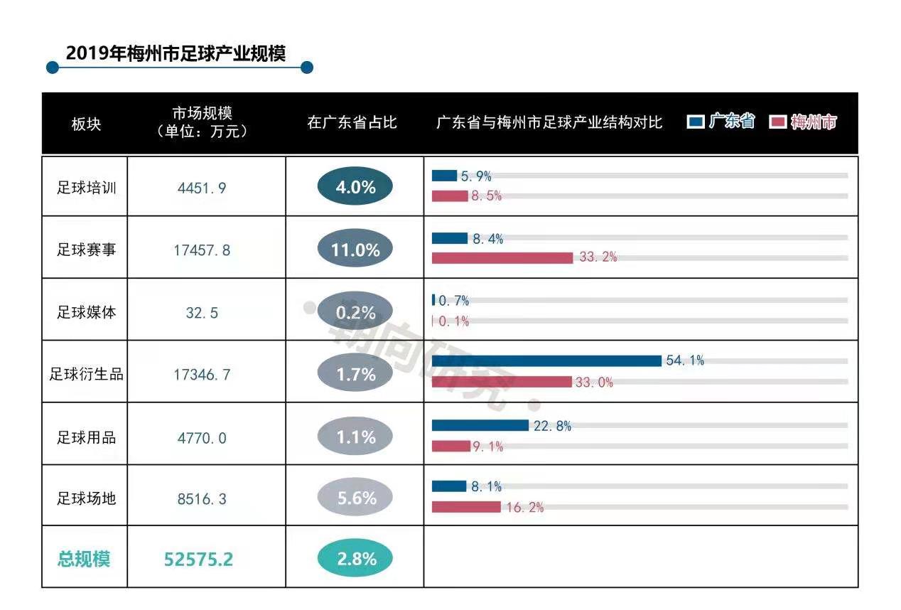 足球人口比例_我国人口比例图