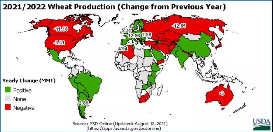 6969图:2021/22全球小麦产量(同比上年)