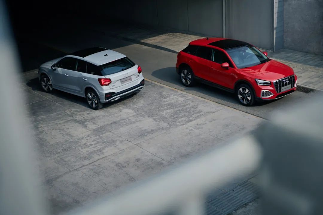 酷盖的孤独与自由