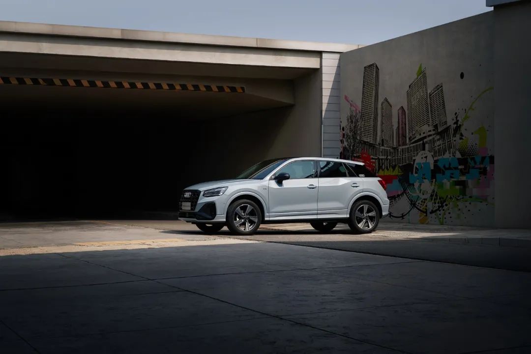 酷盖的孤独与自由