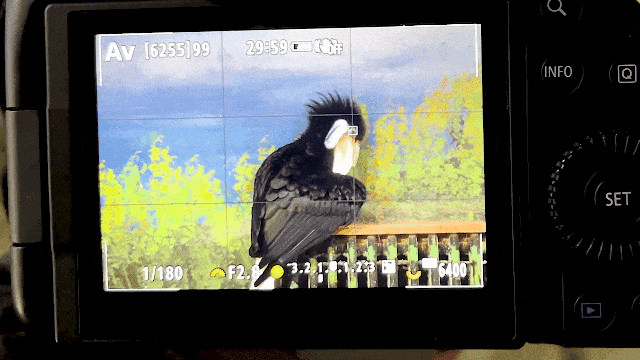 什么是单反相机(什么是单反相机什么是数码相机)-85模板网 什么是单反相机(什么是单反相机什么是数码相机)-85模板网