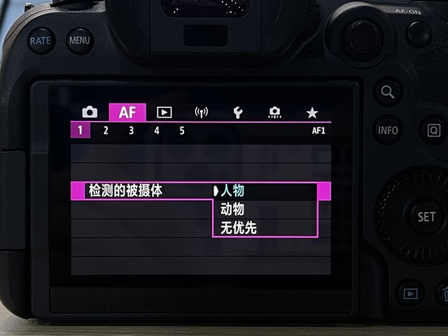 什么是单反相机(什么是单反相机什么是数码相机)-85模板网 什么是单反相机(什么是单反相机什么是数码相机)-85模板网