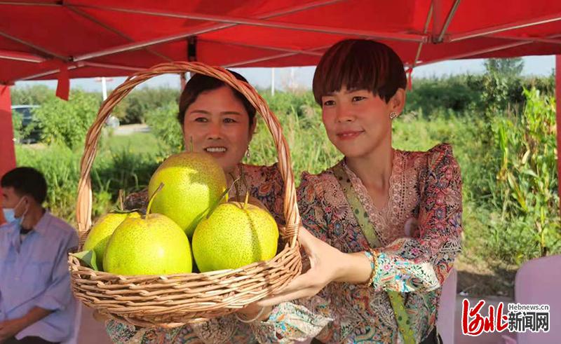 图为沧州沧县汪家铺乡刘进士村果农在推介本村梨果。河北日报记者张岚山摄