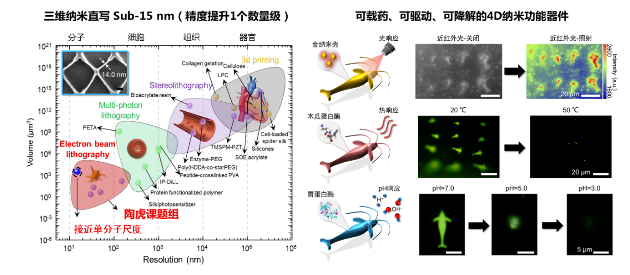 ▲ 图源:中国科学院上海微系统与信息技术研究所网站