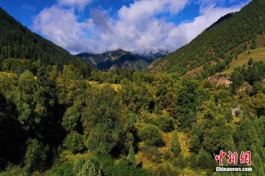 Descriptive essay on mountains image