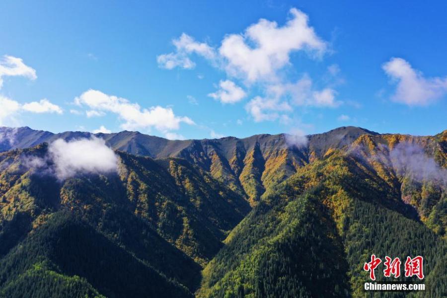 Simple sentences about mountains picture