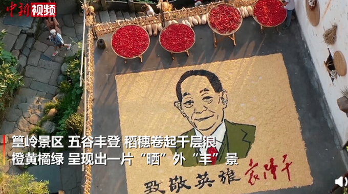 江西婺源晒秋用五谷拼出袁隆平画像网友晒秋大妈艺术水平好高