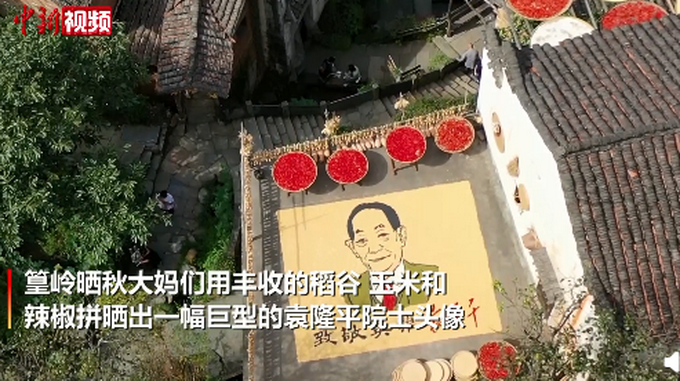 江西婺源晒秋用五谷拼出袁隆平画像网友晒秋大妈艺术水平好高