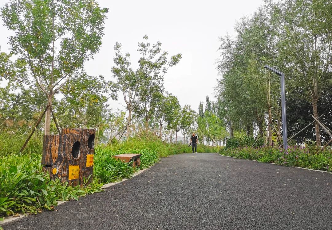 就在明天!衙门口城市森林公园正式开园,又多一个好去处