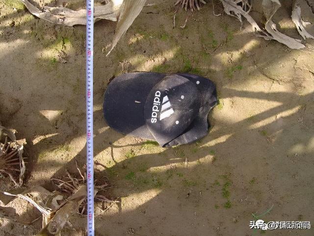 河北献县村民在玉米地发现男尸警方尸体已白骨化线索征集中