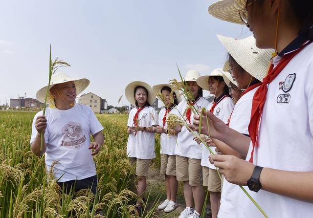 儿童画国际巡展走入杭州 在"爷爷的水稻田"临平基地