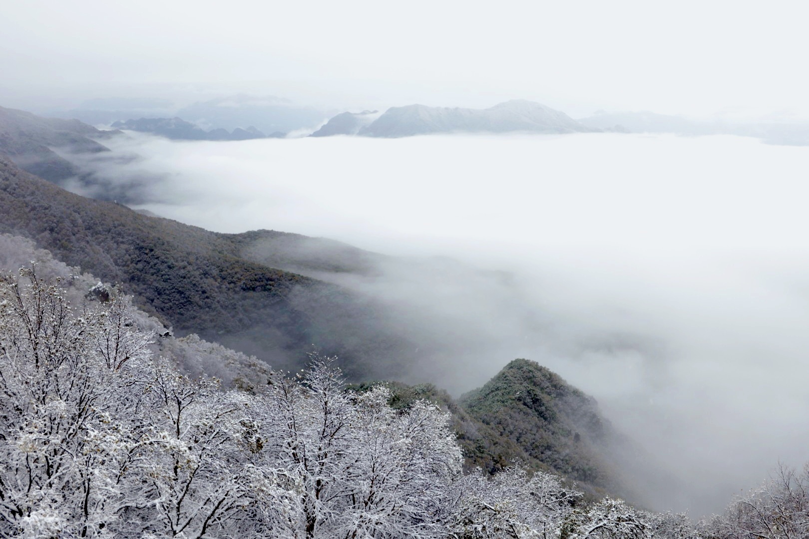 雪景与云海"同框"!今天的百花山美如仙境