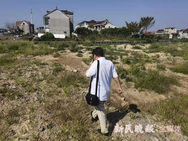 图说:老宅地面已长杂草 新民晚报记者 罗水元 摄