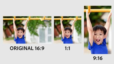 Adobe Premiere Elements ݺ