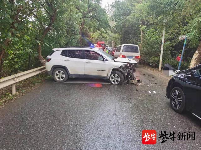 长假亲友聚会睡得晚,大早开车犯困撞大树