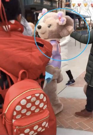 2019年1月,“雪莉玫”被一名男游客拉扯耳朵