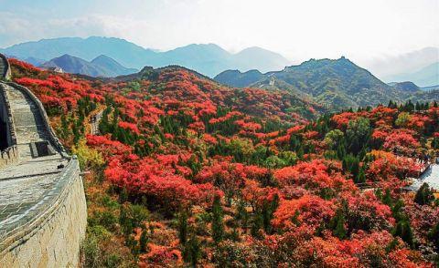 八达岭国家森林公园(资料图)