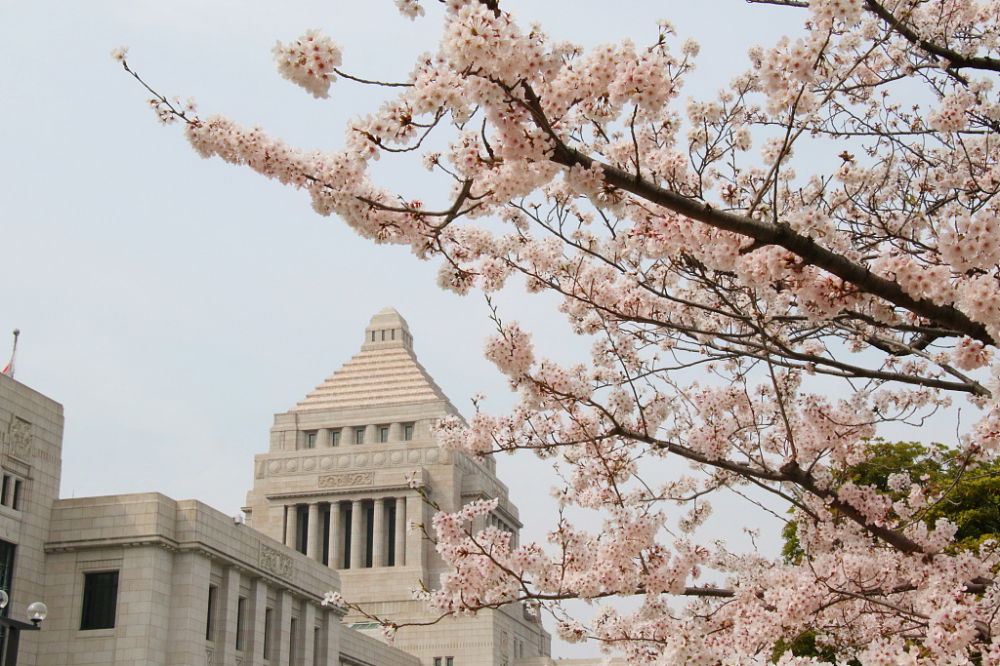 日本国会(资料图)